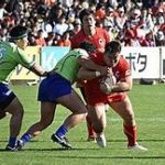 和漢人参 など七種の人参で元気を出そう