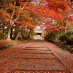 京都、奈良、高野山、古都巡礼春に秋に関西の魅力いっぱい